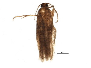  ( - BIOUG13749-C05)  @12 [ ] CreativeCommons - Attribution (2014) CBG Photography Group Centre for Biodiversity Genomics