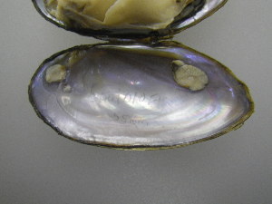  ( - EpulFli010)  @11 [ ] Unspecified (default): All Rights Reserved  Unspecified Unspecified