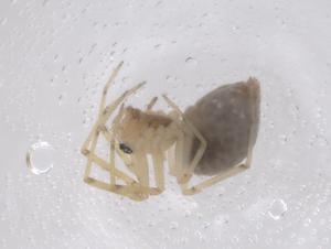  ( - CBG-B01045-D07)  @11 [ ] CreativeCommons - Attribution Share - Alike (2025) Centre for Biodiversity Genomics Centre for Biodiversity Genomics