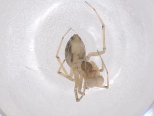  ( - CBG-B02312-G10)  @11 [ ] CreativeCommons - Attribution Share - Alike (2025) Centre for Biodiversity Genomics Centre for Biodiversity Genomics