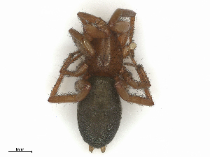 ( - CBG-B04142-G01)  @11 [ ] CreativeCommons - Attribution Share - Alike (2025) CBG Photography Group Centre for Biodiversity Genomics