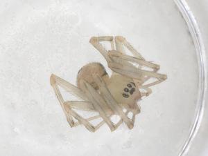  ( - CBG-B05049-A01)  @11 [ ] CreativeCommons - Attribution Share - Alike (2025) Centre for Biodiversity Genomics Centre for Biodiversity Genomics