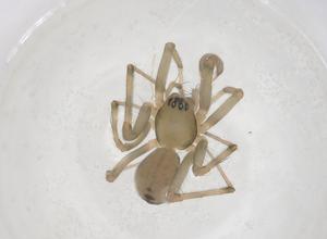  ( - CBG-B05049-A03)  @11 [ ] CreativeCommons - Attribution Share - Alike (2025) Centre for Biodiversity Genomics Centre for Biodiversity Genomics