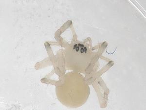  ( - CBG-B05049-A06)  @11 [ ] CreativeCommons - Attribution Share - Alike (2025) Centre for Biodiversity Genomics Centre for Biodiversity Genomics