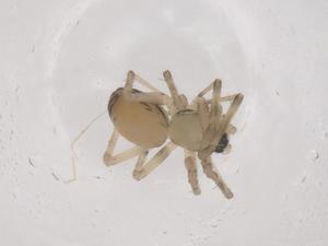  ( - CBG-B05051-C11)  @11 [ ] CreativeCommons - Attribution Share - Alike (2025) Centre for Biodiversity Genomics Centre for Biodiversity Genomics