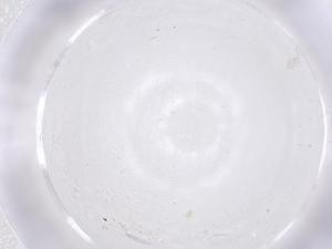  (Tetranychus lewisi - CBG-B21017-G10)  @11 [ ] CreativeCommons - Attribution Share - Alike (2025) Centre for Biodiversity Genomics Centre for Biodiversity Genomics