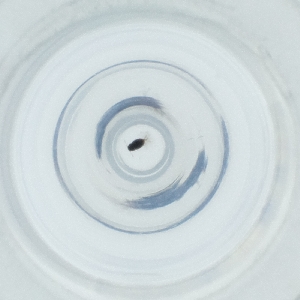  ( - MOZZ00000863A_H1)  @11 [ ] by (2004) Genome Research Ltd as Wellcome Sanger Institute Genome Research Limited operating as Wellcome Sanger Institute