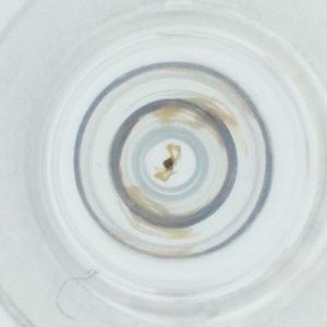  ( - SHAP_002_H2)  @11 [ ] by (2004) Genome Research Ltd as Wellcome Sanger Institute Genome Research Limited operating as Wellcome Sanger Institute