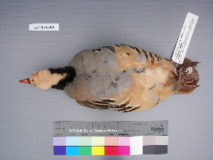  ( - USNM 643569)  @12 [ ] Unspecified (default): All Rights Reserved  Unspecified Unspecified