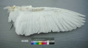  ( - USNM 641853)  @12 [ ] Unspecified (default): All Rights Reserved  Unspecified Unspecified