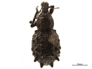  ( - CCDB-30444-F05)  @11 [ ] CreativeCommons - Attribution (2018) Smithsonian Institution Smithsonian Institution