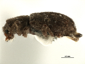  ( - CCDB-30449-H05)  @11 [ ] CreativeCommons - Attribution (2019) Smithsonian Institution Smithsonian Institution