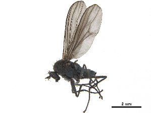  ( - CCDB-32963-E05)  @11 [ ] CreativeCommons - Attribution (2019) Smithsonian Institution Smithsonian Institution