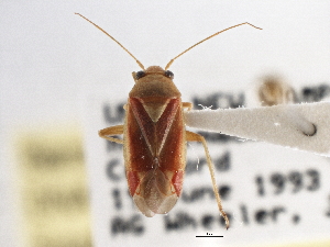  ( - CCDB-21310-G10)  @11 [ ] CreativeCommons - Attribution (2013) CBG Photography Group Centre for Biodiversity Genomics