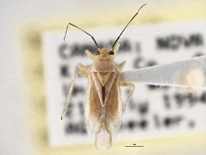  ( - CCDB-21311-B08)  @11 [ ] CreativeCommons - Attribution (2013) CBG Photography Group Centre for Biodiversity Genomics