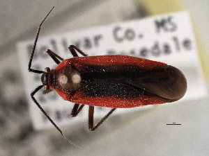  ( - CCDB-21311-D03)  @11 [ ] CreativeCommons - Attribution (2013) CBG Photography Group Centre for Biodiversity Genomics