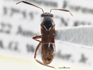  ( - CCDB-21314-B05)  @11 [ ] CreativeCommons - Attribution (2013) CBG Photography Group Centre for Biodiversity Genomics