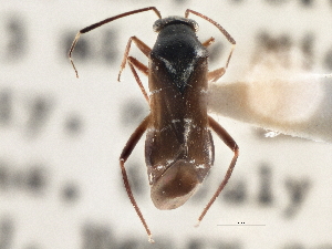  ( - CCDB-21314-C02)  @11 [ ] CreativeCommons - Attribution (2013) CBG Photography Group Centre for Biodiversity Genomics