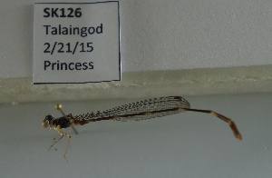  ( - SK126)  @11 [ ] Unspecified (default): All Rights Reserved (2015) Unspecified Unspecified