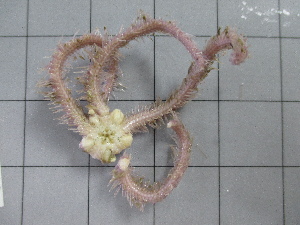  ( - SeaMP_SB011)  @11 [ ] Unspecified (default): All Rights Reserved (2022) Unspecified Unspecified