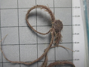  ( - SeaMP_SB297)  @11 [ ] Unspecified (default): All Rights Reserved (2023) Unspecified Unspecified