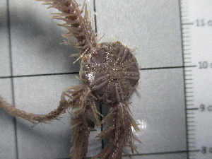  ( - SeaMP_SB297)  @11 [ ] Unspecified (default): All Rights Reserved (2023) Unspecified Unspecified