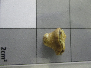  ( - SeaMP_SB032)  @11 [ ] Unspecified (default): All Rights Reserved (2022) Unspecified Unspecified
