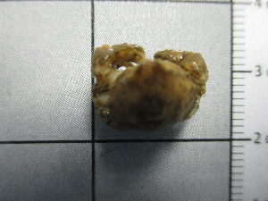  ( - SeaMP_SB336)  @11 [ ] Unspecified (default): All Rights Reserved (2023) Unspecified Unspecified