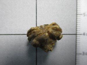  ( - SeaMP_SB336)  @11 [ ] Unspecified (default): All Rights Reserved (2023) Unspecified Unspecified