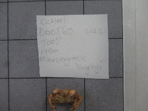  ( - SeaMP_SB009)  @11 [ ] Unspecified (default): All Rights Reserved (2022) Unspecified Unspecified