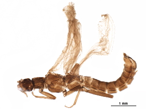 ( - BIOUG22078-F05)  @11 [ ] CreativeCommons - Attribution (2019) CBG Photography Group Centre for Biodiversity Genomics