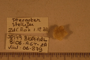  ( - 06_879)  @11 [ ] CreativeCommons - Attribution Non-Commercial Share-Alike (2012) MNHN Museum national d'Histoire naturelle, Paris