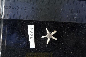  ( - JR15005_263-3)  @11 [ ] CreativeCommons - Attribution Non-Commercial No Derivatives (2017) Unspecified Universit&eacute; Libre de Bruxelles (ULB)