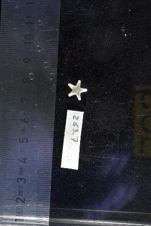  ( - JR15005_263-7)  @11 [ ] CreativeCommons - Attribution Non-Commercial No Derivatives (2017) Unspecified Universit&eacute; Libre de Bruxelles (ULB)