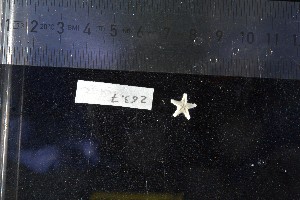  ( - JR15005_263-7)  @11 [ ] CreativeCommons - Attribution Non-Commercial No Derivatives (2017) Unspecified Universit&eacute; Libre de Bruxelles (ULB)