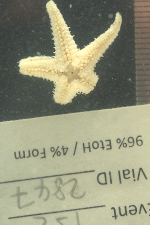  ( - JR15005_2847)  @11 [ ] CreativeCommons - Attribution Non-Commercial No Derivatives (2017) Unspecified Universit&eacute; Libre de Bruxelles (ULB)