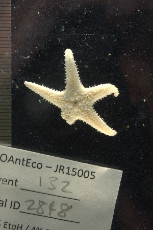  ( - JR15005_2848)  @11 [ ] CreativeCommons - Attribution Non-Commercial No Derivatives (2017) Unspecified Universit&eacute; Libre de Bruxelles (ULB)