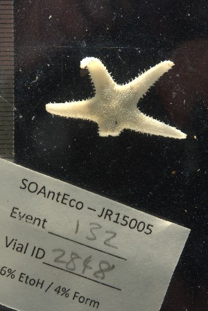  ( - JR15005_2848)  @11 [ ] CreativeCommons - Attribution Non-Commercial No Derivatives (2017) Unspecified Universit&eacute; Libre de Bruxelles (ULB)