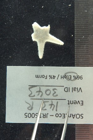  ( - JR15005_3043)  @11 [ ] CreativeCommons - Attribution Non-Commercial No Derivatives (2017) Unspecified Universit&eacute; Libre de Bruxelles (ULB)