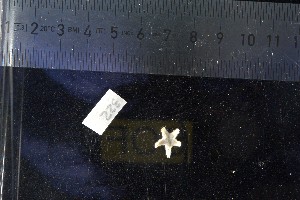  ( - JR15005_322)  @11 [ ] CreativeCommons - Attribution Non-Commercial No Derivatives (2017) Unspecified Universit&eacute; Libre de Bruxelles (ULB)