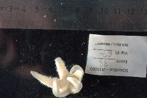  ( - JR15005_670)  @11 [ ] CreativeCommons - Attribution Non-Commercial No Derivatives (2017) Unspecified Universit&eacute; Libre de Bruxelles (ULB)