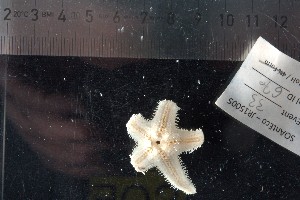  ( - JR15005_670)  @11 [ ] CreativeCommons - Attribution Non-Commercial No Derivatives (2017) Unspecified Universit&eacute; Libre de Bruxelles (ULB)