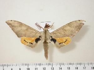  ( - BC-Hax0578)  @14 [ ] Copyright (2010) Jean Haxaire Research Collection of Jean Haxaire