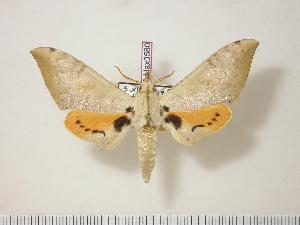  ( - BC-Hax0580)  @14 [ ] Copyright (2010) Jean Haxaire Research Collection of Jean Haxaire
