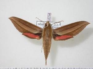  ( - BC-Hax0768)  @14 [ ] Copyright (2010) Jean Haxaire Research Collection of Jean Haxaire