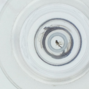  ( - SPGW_014_A10)  @11 [ ] by  Genome Research Ltd as Wellcome Sanger Institute Genome Research Limited operating as Wellcome Sanger Institute