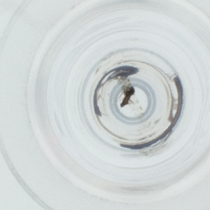  ( - SPGW_014_C10)  @11 [ ] by  Genome Research Ltd as Wellcome Sanger Institute Genome Research Limited operating as Wellcome Sanger Institute