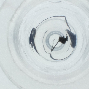  ( - SPGW_017_C4)  @11 [ ] by  Genome Research Ltd as Wellcome Sanger Institute Genome Research Limited operating as Wellcome Sanger Institute