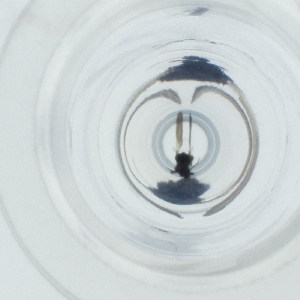  ( - SPGW_017_G4)  @11 [ ] by  Genome Research Ltd as Wellcome Sanger Institute Genome Research Limited operating as Wellcome Sanger Institute