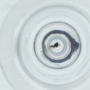  ( - SPGW_022_G1)  @11 [ ] by  Genome Research Ltd as Wellcome Sanger Institute Genome Research Limited operating as Wellcome Sanger Institute